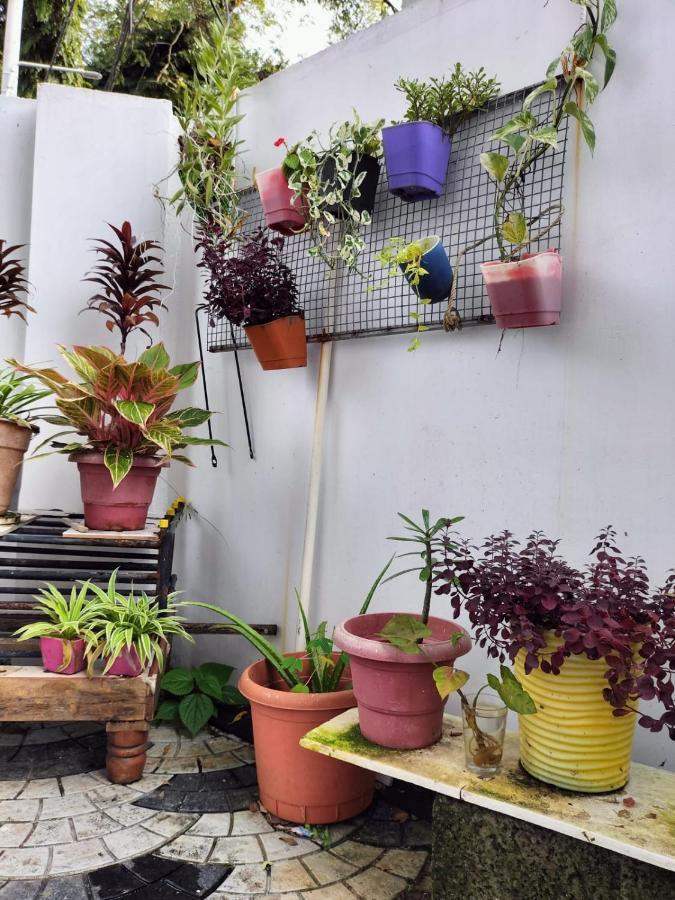 Joseys Homestay Kochi Buitenkant foto